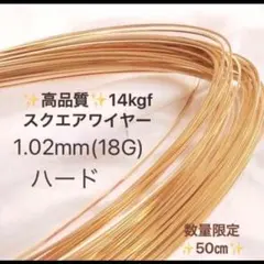 Item thumbnail for item b600ccfb-0b8c-40a1-ab01-8cc65bf66a73