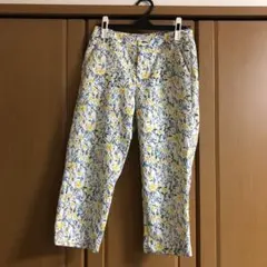 Item thumbnail for item c5d2e4bd-a2a8-4b64-82b4-122f8af46195