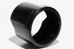 Item thumbnail for item 62838f19-fca4-41ad-a8c1-4b0c89065f20