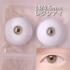 Item thumbnail for item bb233823-78c2-4f05-bb02-0d18422428c0