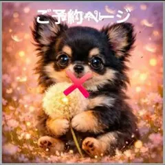 激レア柴犬、シーズ、チワワ、マルチーズ、パグ、ポメラニアンパネル