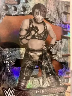 wwe スポーツカード