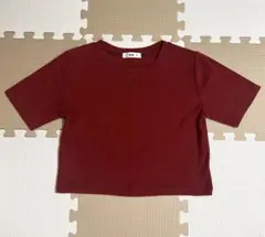 WEGO リブショートTシャツ ボルドー M