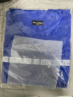Age Factory 2024 twilight 日比谷野音 Tシャツ（XL） Age Factory 2024 twilight 日比谷野音 Tシャツ（XL） - メルカリ