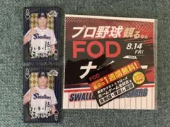 東京ヤクルトスワローズ 奥川恭伸