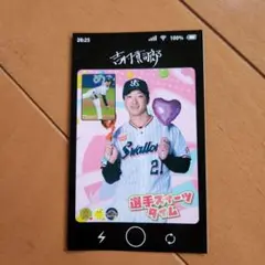 東京ヤクルトスワローズ 　選手シール