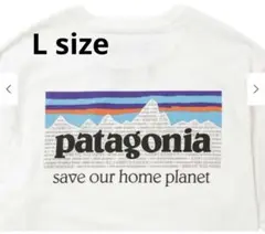 patagonia ホワイト Tシャツ 山グラフィック