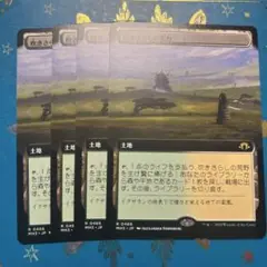 mtg 吹きさらしの荒野　拡張　日本語　４枚　モダンホライゾン3