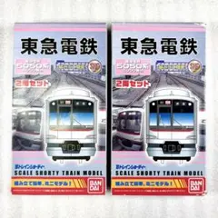 袋未開封未組立】Bトレイン Bトレ 211系5000番台 2両×2箱セット - メルカリ