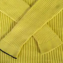 ⬛パラスパレスコットンハイネック 2024年2回着用のサムネイル