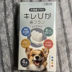 Item thumbnail for item 6d1372d9-078a-4a15-b902-184ba5b7657c