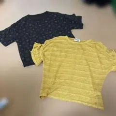 Item thumbnail for item 5774a219-ac6f-4764-80e2-5789eb630987