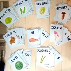 2026年最新】ベビーパーク 絵本の人気アイテム - メルカリ