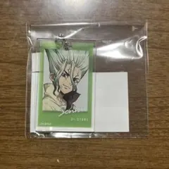 ❤️Dr.STONE まるくじ 第2弾 アクリルキーホルダー 石神千空
