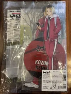 ハイキュー ゴミ捨て場の決戦 布ポスター　ビッグアクリルスタンド 黒尾/孤爪