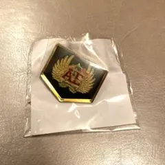 ももいろクローバーZ ANGEL EYES ピンバッチ