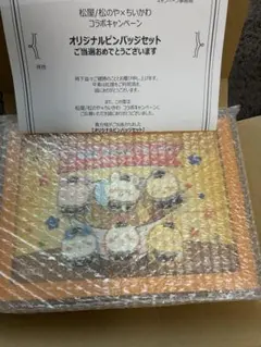 ちいかわ 松屋 松のや キャンペーン 当選品 オリジナルピンバッジセット