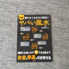 図解 眠れなくなるほど面白い ヤバい風水