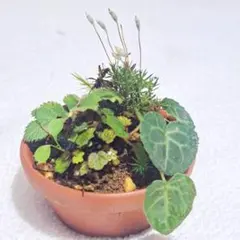 ヒロミン様 リクエスト 2点 まとめ商品