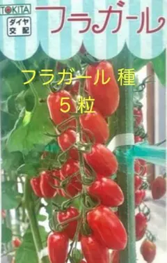 ayakazuouta様 リクエスト 2点 まとめ商品