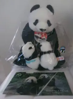 ALICE様、専用ページ