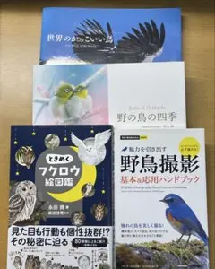 鳥の巣 : 50個の巣と、50種の鳥たち : 写真集 - メルカリ