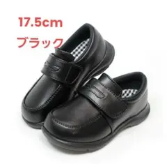 Item thumbnail for item 2665b946-833a-4a96-ada0-ad2ad3278590