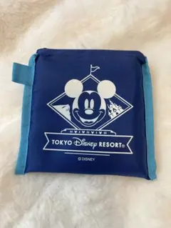 ディズニーエコバッグのサムネイル
