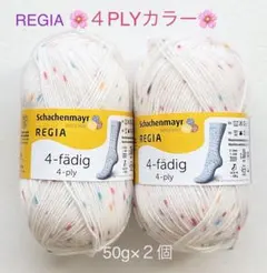 REGIA レギア　ソックヤーン　4 PLY カラー（5062）２個
