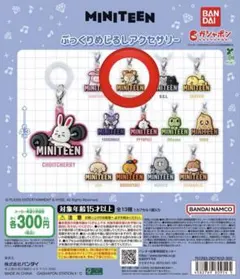 SEVENTEEN MINITEEN ガチャガチャ　JOSHUA