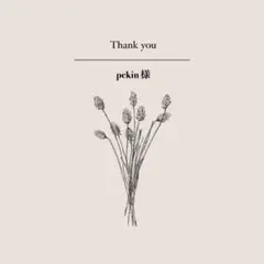 サンリオキャラクター 3Dネイルシール ぷっくり 立体 5D 可愛い ハロウィン