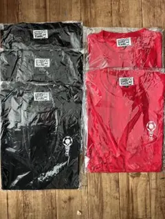 Item thumbnail for item 257aa6c8-7c88-4da1-902d-77bdea4cb7a6