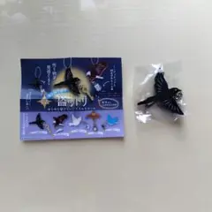 盗ットリ　ガチャ
