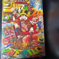 w*n様 週刊少年ジャンプ 2026年33号 ワンピース付録カード