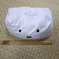 Item thumbnail for item ac403052-8617-4129-a059-90de8511037e