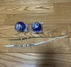 Item thumbnail for item 8d5d3377-884e-4268-bb84-e0bcf705f82c