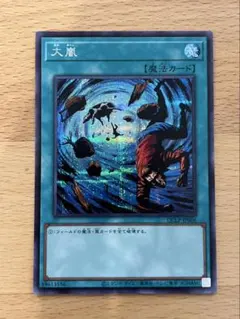 遊戯王 大会参加賞 大嵐 PC4-004 - メルカリ