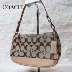 Y2K COACH コーチ シグネチャー アクセサリーポーチ ワンショルダー