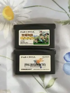 ゲームボーイアドバンス カセットのみ 2点セット