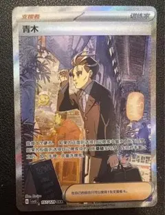 ポケモンカードゲーム　青木sar 中国限定