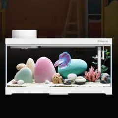 アクリル水槽 LEDライト・自動餌やり器・その他 付き ベタ用 ベタ 専用 ヒーター LEDライト付き アクリル水槽 底面排水 - メルカリ