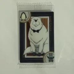 即日発送　004 ウエハース　SPY×FAMILY スパイファミリー