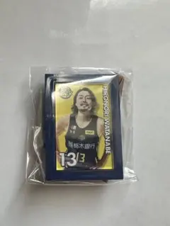 渡邉裕規 宇都宮ブレックス ミニチュアアートイーゼル