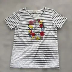組曲 半袖 ボーダー Tシャツのサムネイル