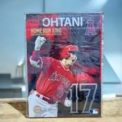 大谷翔平 AL ホームラン王 記念 郵便局限定版 ホルダー ポスカ 色紙 セット