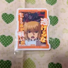 カガリ　ガンダムSEED モバイルステッカーコレクション