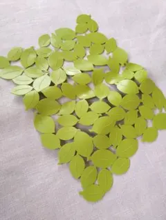 Item thumbnail for item 7ac0d641-0f0b-4d79-afec-61350ac4706e