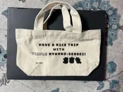 チビにゃんこ先生 小型トートバッグ