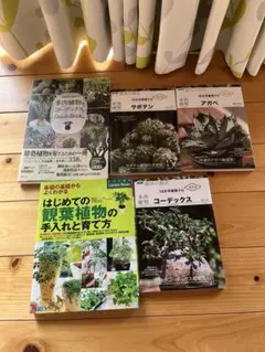 趣味の園芸　コーデックス サボテン アガベ 観葉植物　植物 本 育成ガイド