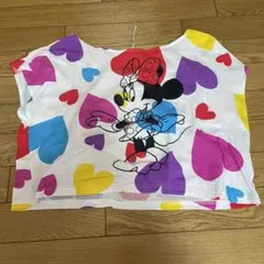 ディズニー　ミニーちゃん　Tシャツ　夏服　レア　半袖　ディズニーランド
